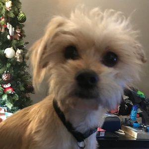 Meet your Posher, Lorraine